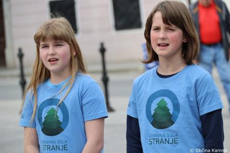 Čebela velikanka potuje po Kamniku (51)